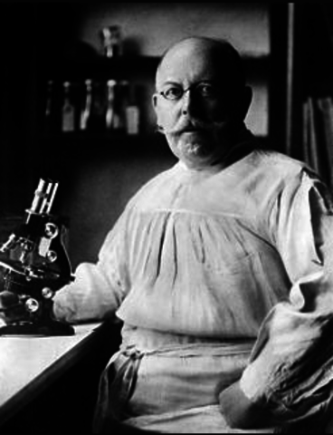 Impregnación argéntica