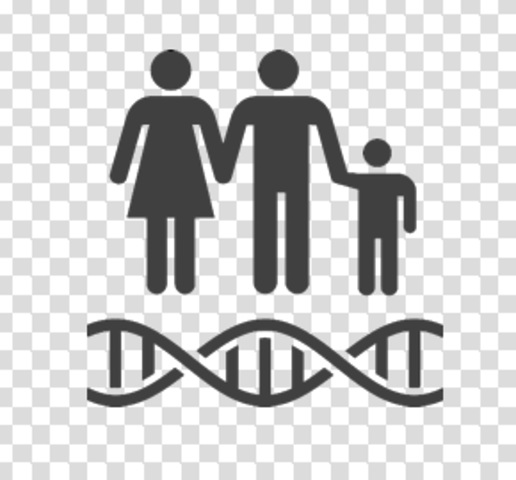Transmisión genética, ADN en Escherichia coli