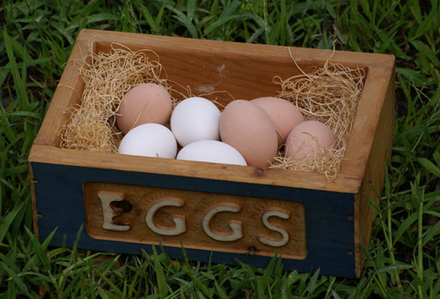 Squizzy Taylor's employment