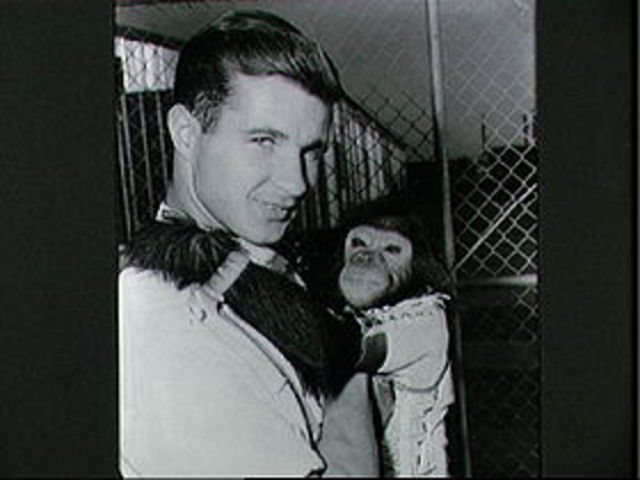 First chimp in orbit