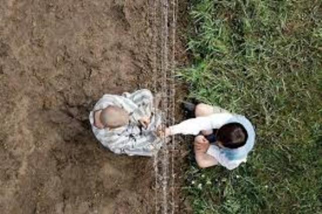 The birthdate for both Bruno and Shmuel, the characters in "The Boy in the Striped Pajamas"