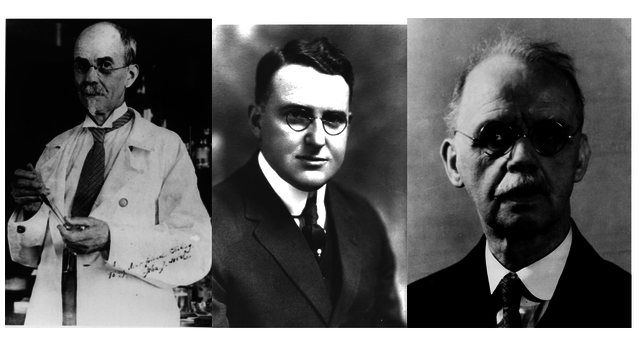 Abel, Rowntree, and Turner dialysed the first animal