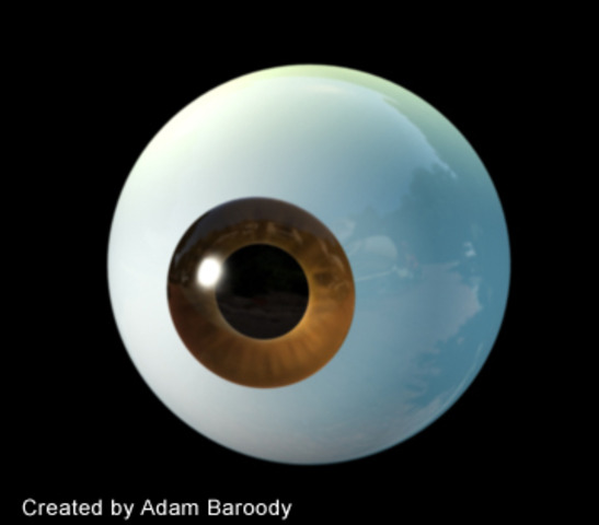 First transplant of human eye