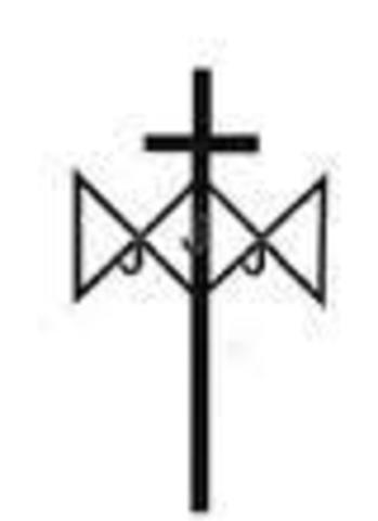 Joined Sisters of St. Joseph