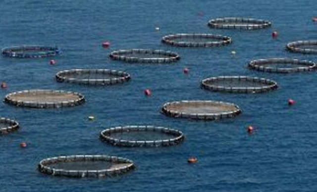 Ley General de Pesca y Acuacultura sustentables.