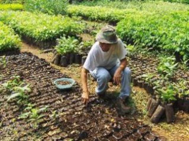 Ley De Desarrollo Forestal Sustentable.