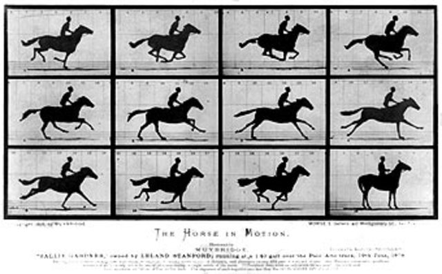 Registro del movimiento de seres vivos