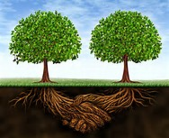 Puerto Rico: Ley Núm. 9 de, "Ley sobre Política Pública Ambiental de Puerto Rico"