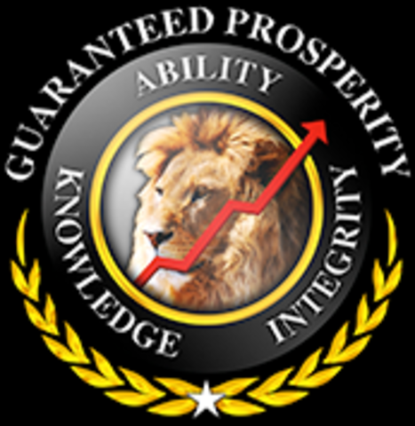 Meir - A Successful Business Coach