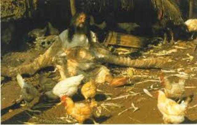 Un senor muy viejo con alas enormes