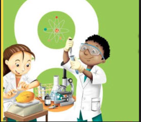 Disciplina Emergente