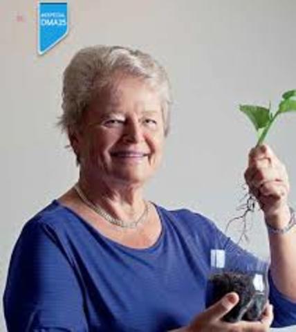 Comisión mundial sobre el medio ambiente