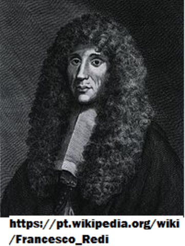 O primeiro experimento biogenista