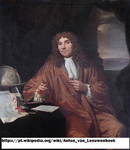 Putrefação gera bactérias