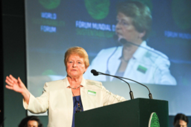 Informe Brundtland