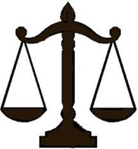 Organización de la vida politica