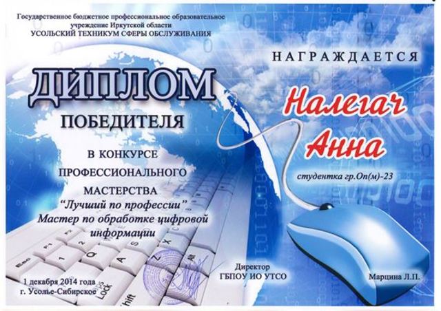 Конкурс профмастерства 2014