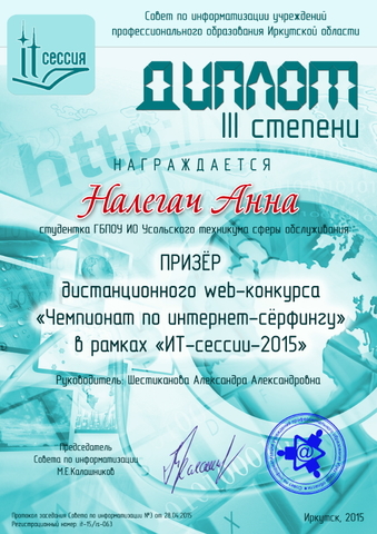 Чемпионат по интернет-сёрфингу