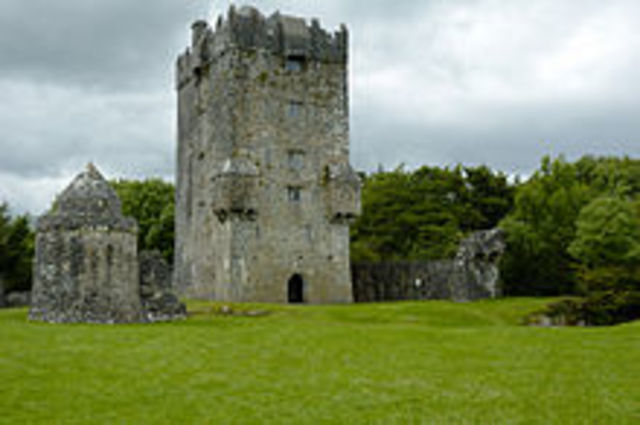 Irish Tower Houses