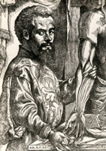 Andrés Vesalio (1514-1564)