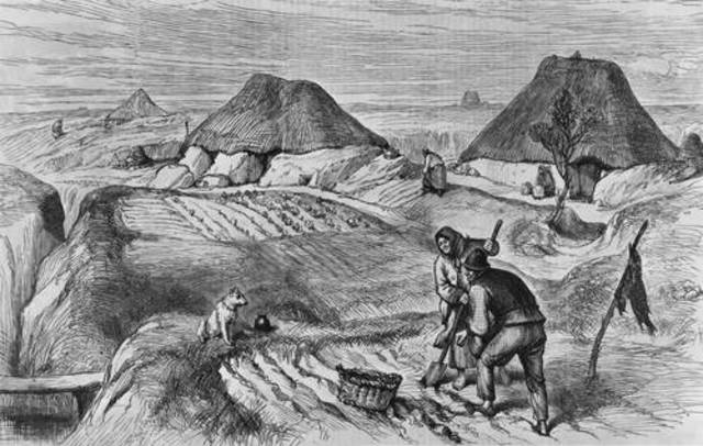 La Gran Hambruna Irlandesa