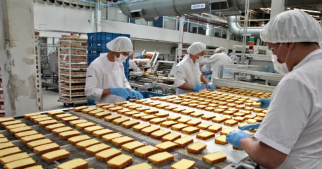 Implementacion de los cambios y del nuevo producto en el mercado