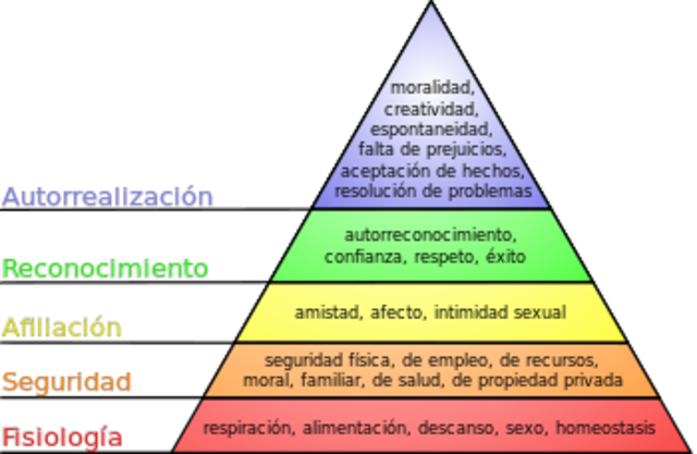 ENFOQUES DE LAS NECESIDADES BASICAS
