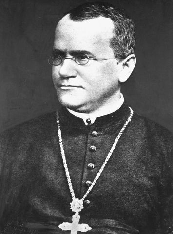 Gregor Mendel