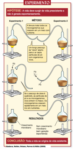 Os pescoços de cisne de Pasteur