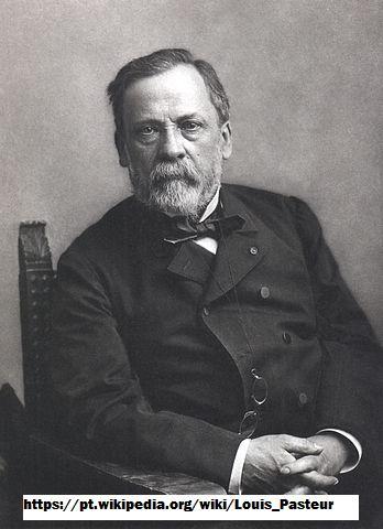 Controvérsias sobre a geração espontânea de Pouchet