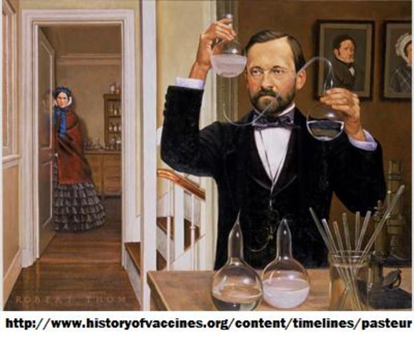 A morte da geração espontânea - Pasteur vence o desafio