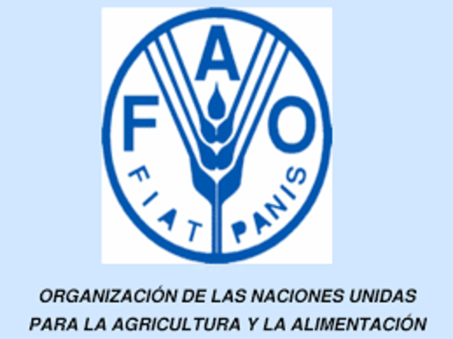 "Sustentabilidad", Definición la FAO (Organización de las Naciones Unidas para la Alimentación y la Agricultura)