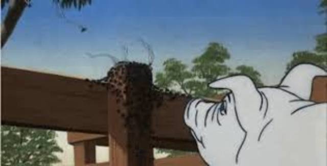 Resolution: The Bittersweet Beginning