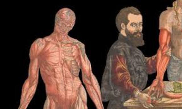 Versalius describe el cuerpo humano