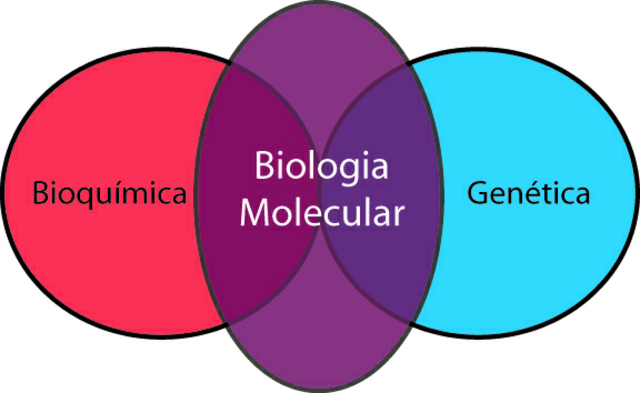 Comienzo de la Biología molecular