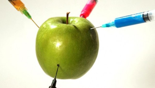 Alimentos transgenicos