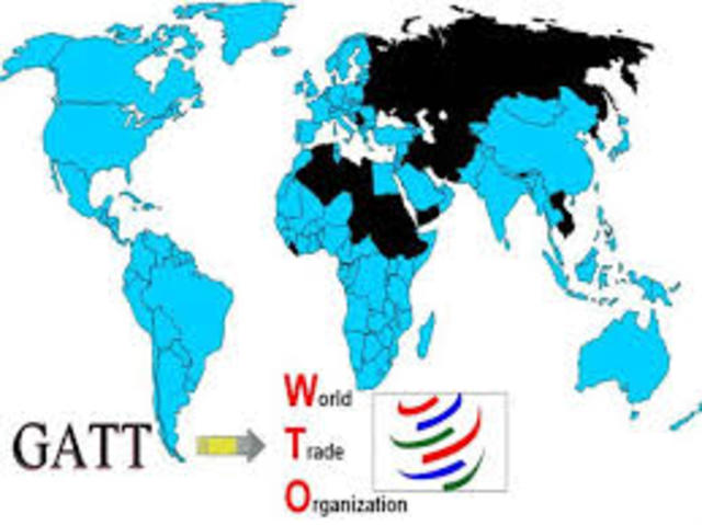 CONFERENCIA MINISTERIAL GINEBRA SUIZA (2011)