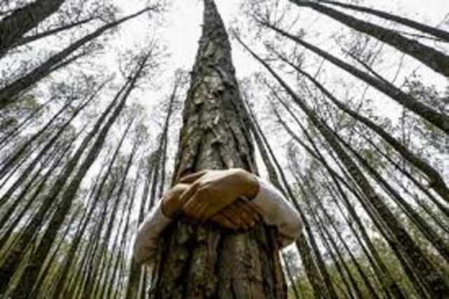 reunión del Grupo de Expertos sobre el Desarrollo y el Medio