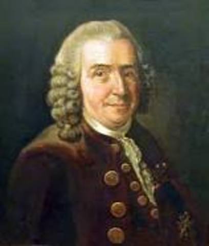 Carlos Linneo