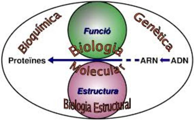 Biología Molecular