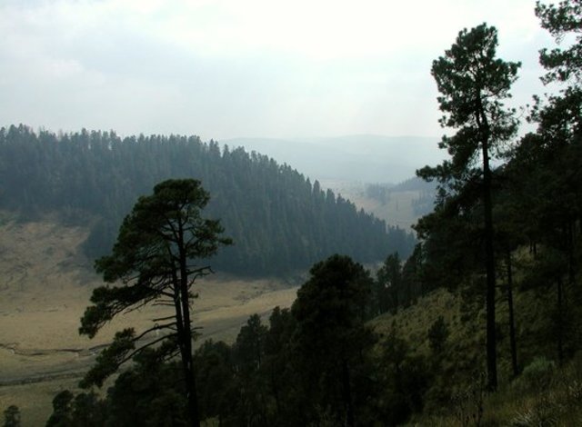 Parque Nacional Cumbres Ajusco