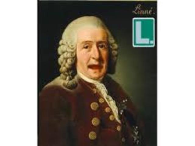 Carlos Linneo