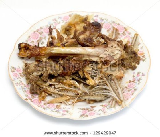 Gracie greets Mrs. Feehan