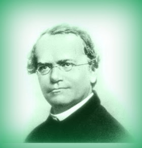 Gregor Mendel