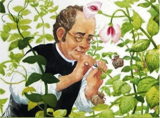 Gregor Mendel