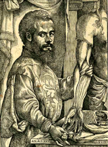 Andres Vesalio
