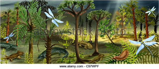 First Insects, Amphibians, and Reptiles