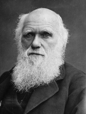 Charles Darwin 1809