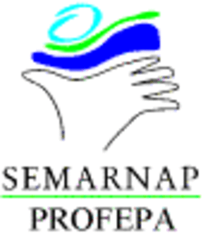 Secretaría de Medio Ambiente, Recursos Naturales y Pesca (SEMARNAP)