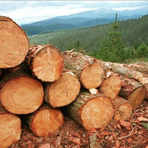 Acuerdo sobre Maderas Tropicales